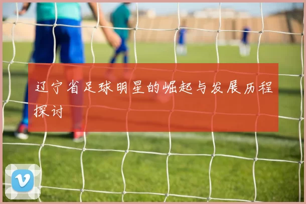 辽宁省足球明星的崛起与发展历程探讨
