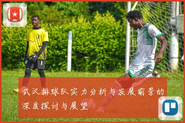 武汉排球队实力分析与发展前景的深度探讨与展望