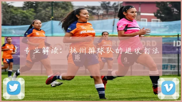 专业解读：杭州排球队的进攻打法