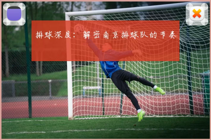 排球深度：解密南京排球队的节奏