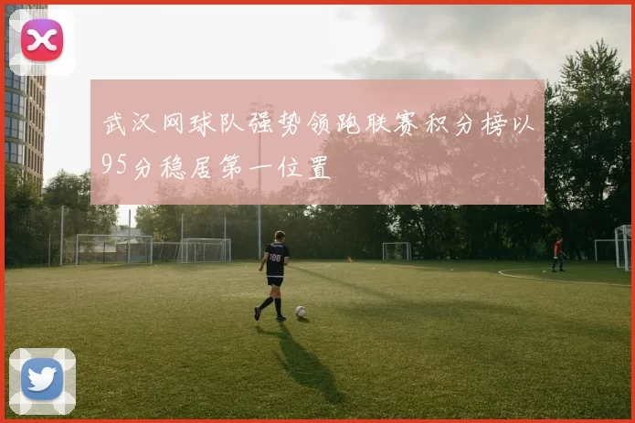 武汉网球队强势领跑联赛积分榜以95分稳居第一位置